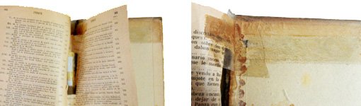 Detalls de l'Ironfix® i el celo abans de la restauració Detalls de l'Ironfix® i el celo abans de la restauració