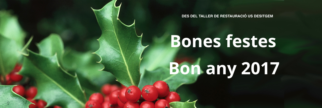 Des del taller BBlasi us desitgem bones festes i bona any 2017!