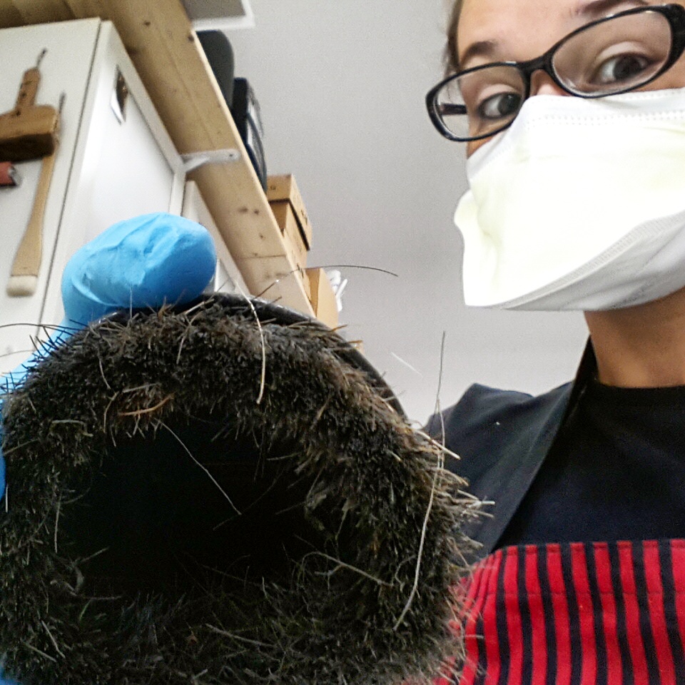 Dia 1 de setembre de 2015. Atacant uns microorganismes a qui ningú havia convidat.