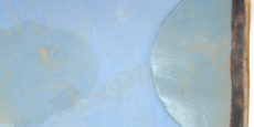 Aplicació de lipases en gel per eliminar taques greixoses