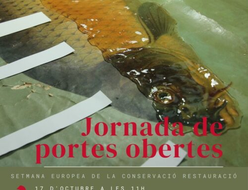 (Català) Jornada de portes obertes per la Setmana Europea de la Conservació i la Restauració 2024