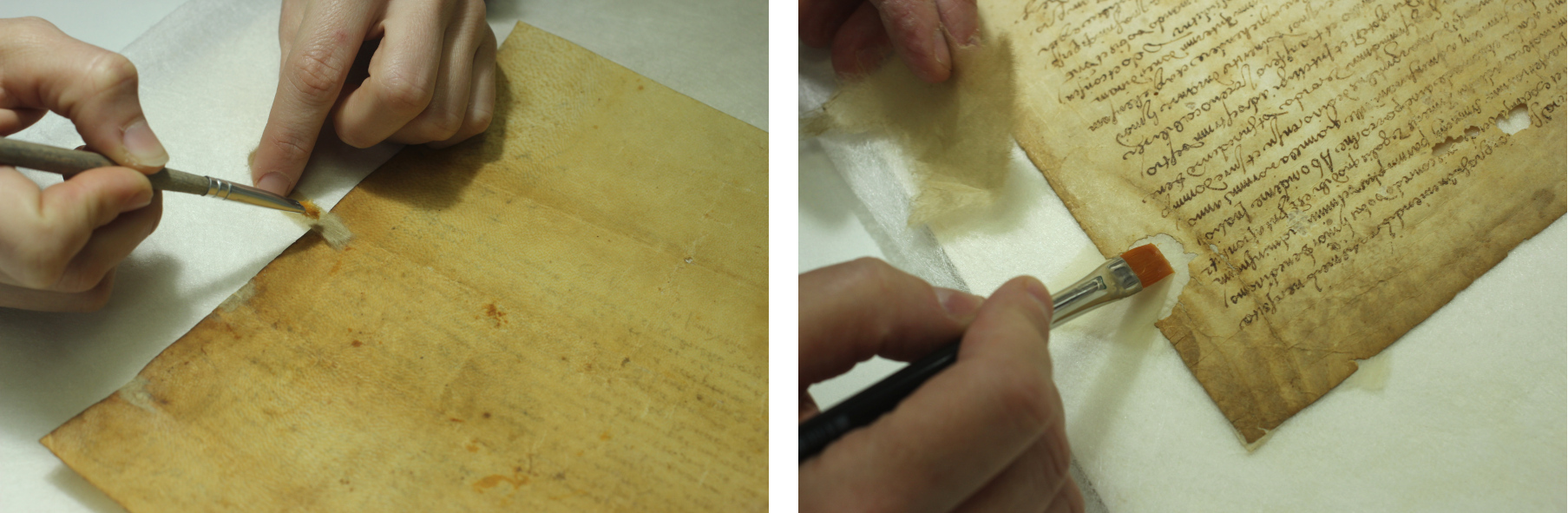 Consolidació d'estrips pel revers del pergamí (esquerra) i reintegració de llacunes, una capa per anvers (dreta).