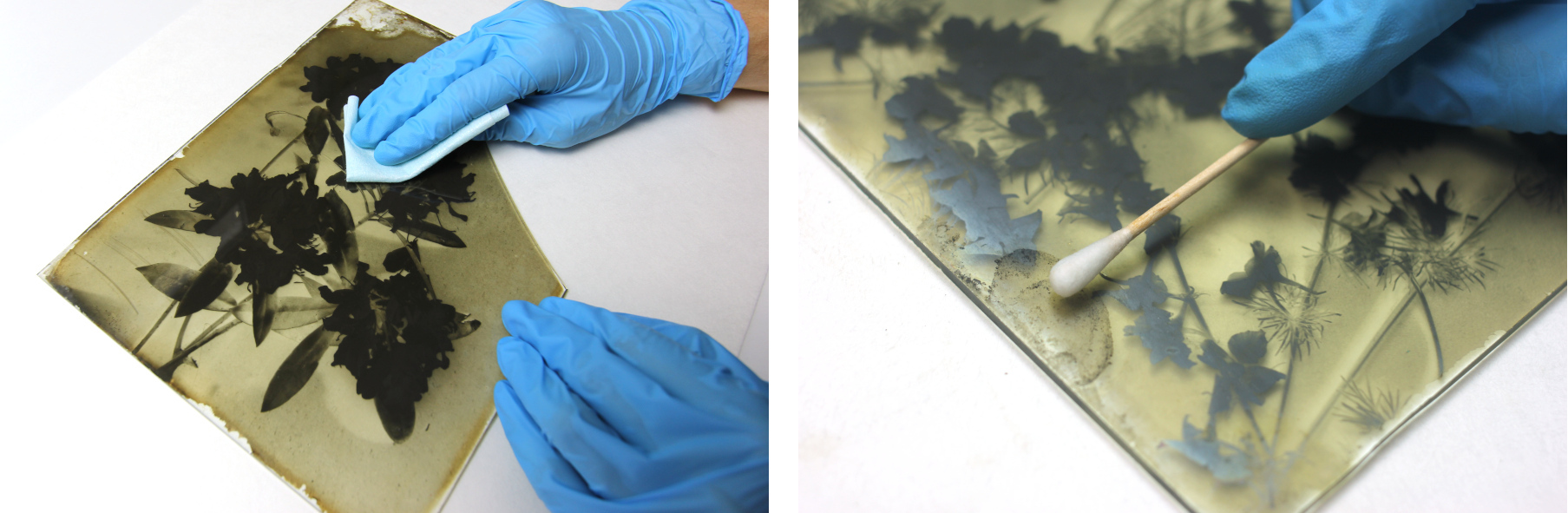 Procés de neteja en humit, per revers o cantó del vidre (esquerra) i anvers o cantó de l'emulsió (dreta).